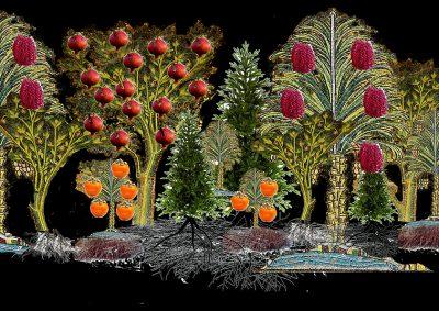 Ultimate Living: large trees in colour with pomegranates and dates and persimmons