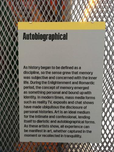 Autobiography section at White Cube Memory Palace