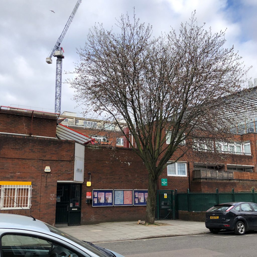 At just above human-head height, the sturdy trunk of this resilient tree splays out into a cloud of slender black winter-branches in this photograph. To her right is one of the world’s leading research institutes. Behind her is a small community centre - emblazoned with posters advertising local events. At her base, crushed rubbish has been dumped - not for the first, and not for the last time. Off to her left is one of those mega construction cranes - surely under the control of this strong and wise tree?