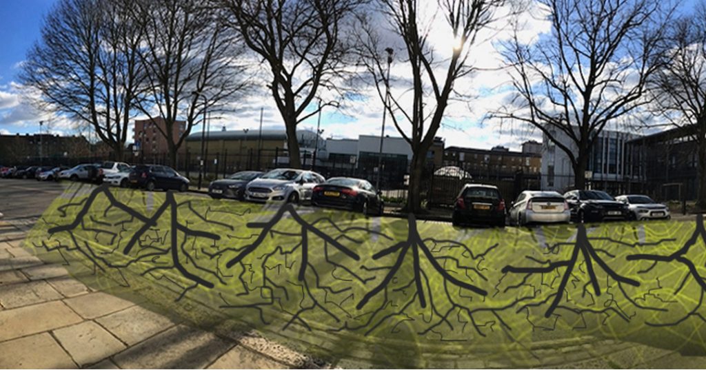 Five winter trees against a blue sky, with interlocking roots drawn in